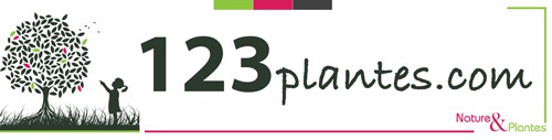 Logo 123plantes.com produits naturels
