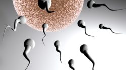 imagesDate-ovulation-3.jpg